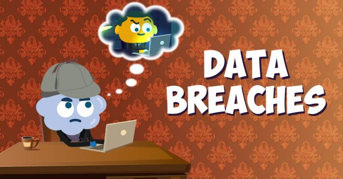 Data Breaches