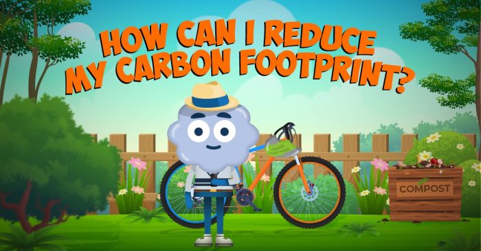 How can I reduce my carbon footprint?