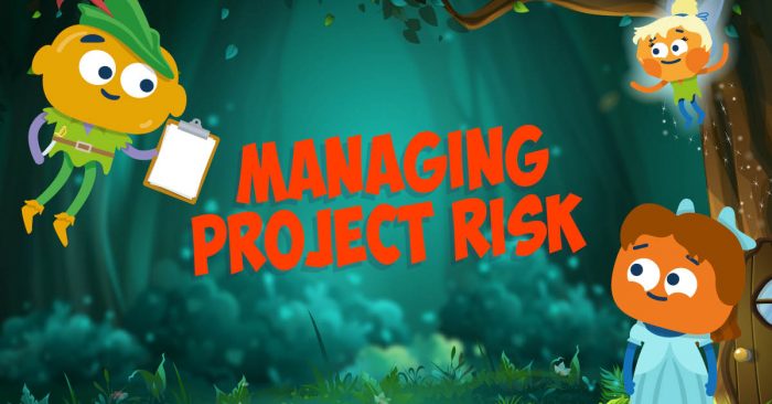 Managing Project Risk